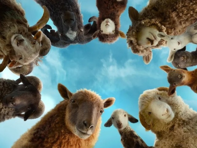 Review: The Sheep Detectives and Now You See Me: Now You Don't |  philipbrasor.com